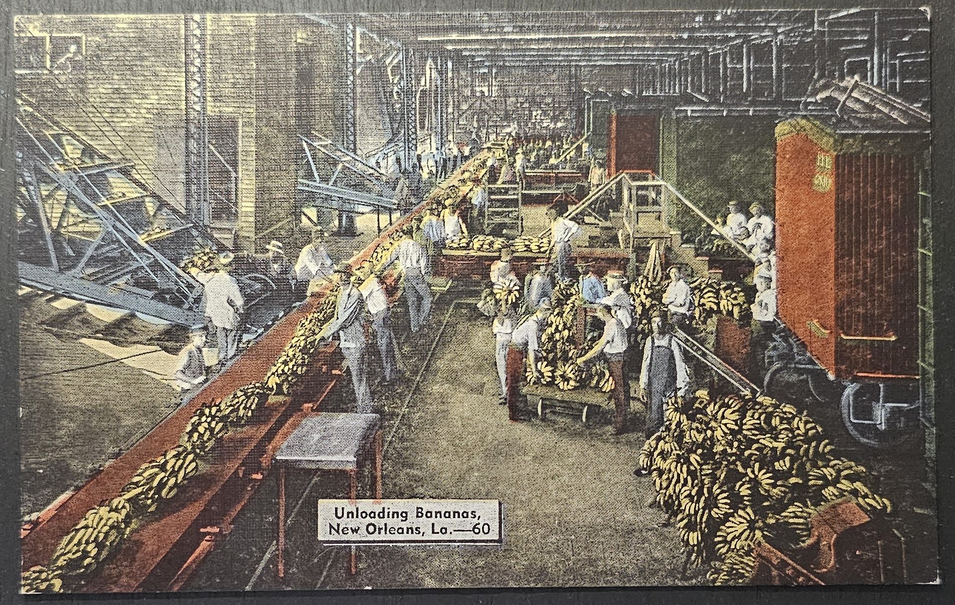 (image for) postcard USA - LA - Louisiana #0006